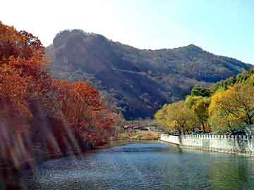 管家婆免费正版资起大全，全国山河一片红邮票价格